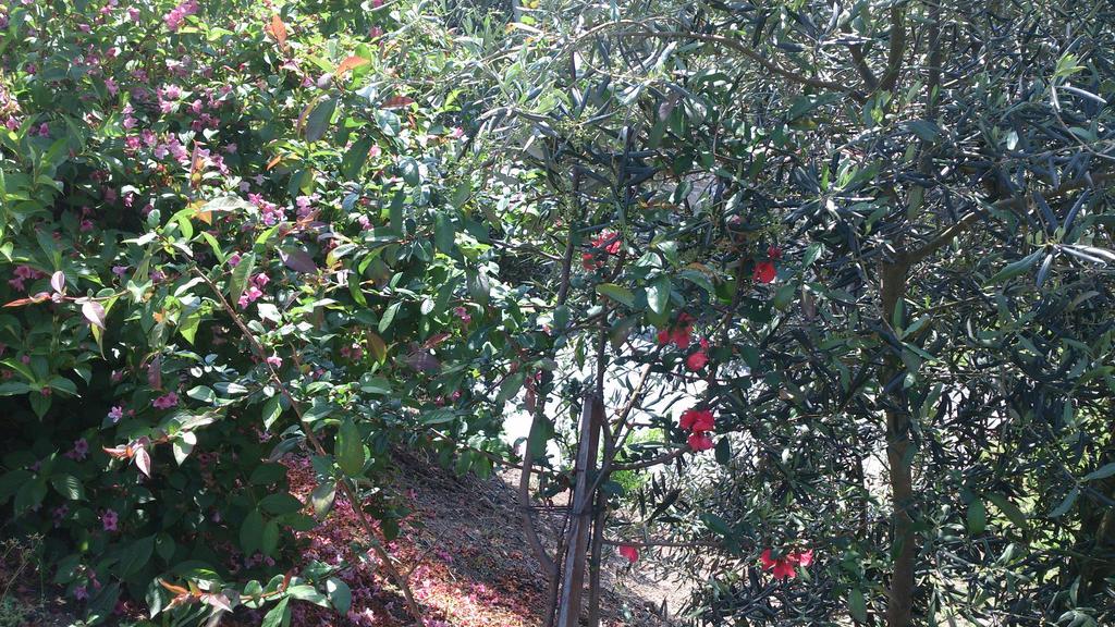 Holiday home Quinta Da Mata