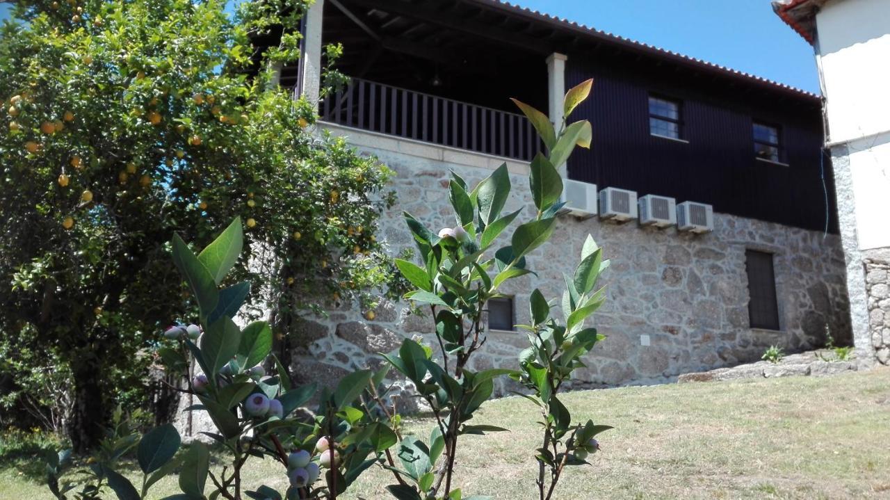 Quinta Da Mata Holiday home *