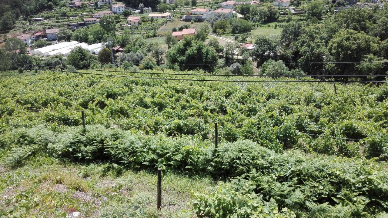 Quinta Da Mata Holiday home *