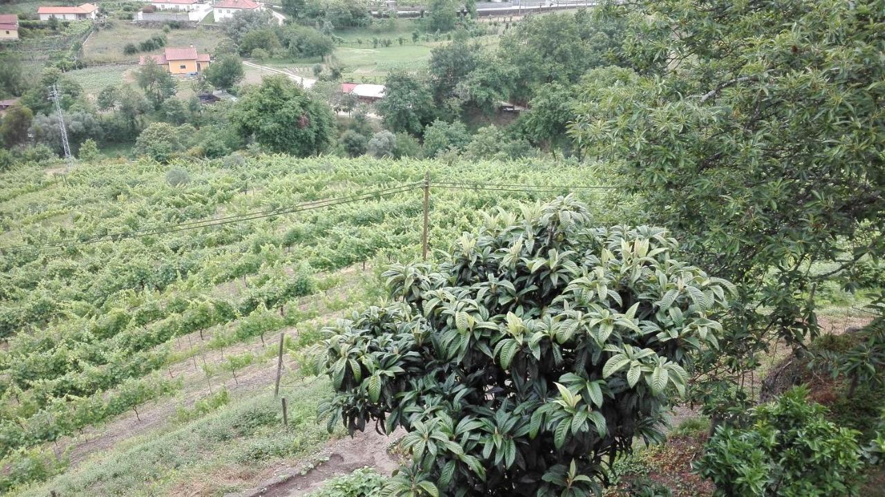 Quinta Da Mata * Ponte da Barca