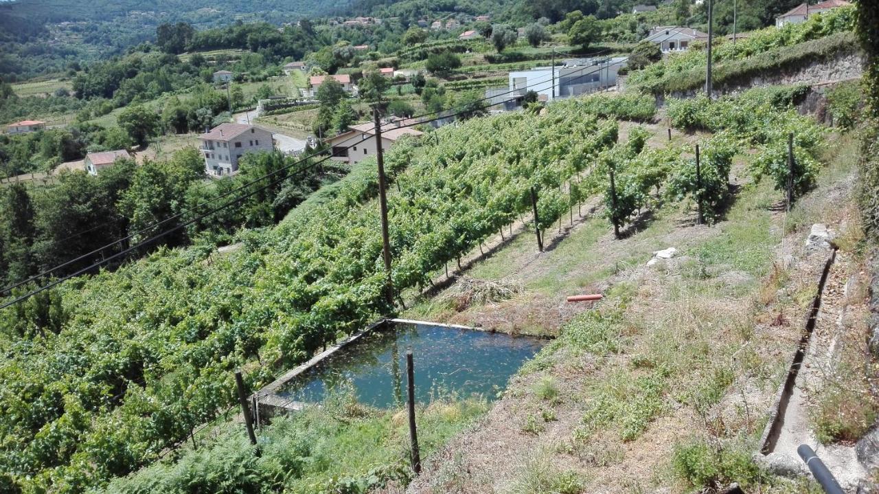 Quinta Da Mata *