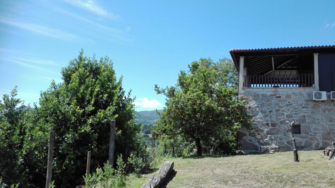 Quinta Da Mata